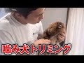 悩める飼い主の駆け込み寺