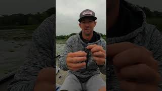 Luke Palmers Favorite Ways To Rig A Yum Dinger