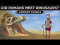 Did Romans Meet the Dinosaurs? - Ancient Fossil Discoveries DOCUMENTARY