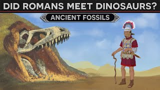 Did Romans Meet the Dinosaurs?  Ancient Fossil Discoveries DOCUMENTARY