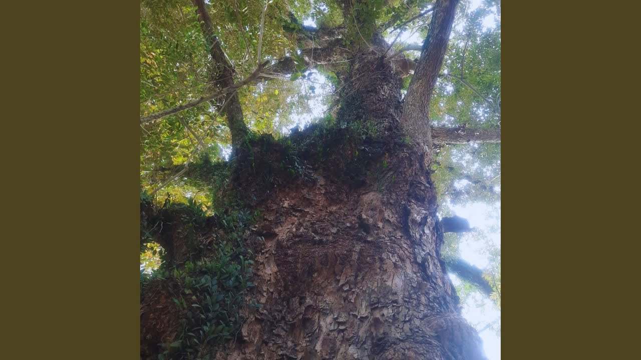 Berjuang Demi Hidup