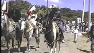 La Siempreviva, Nopala Hidalgo.