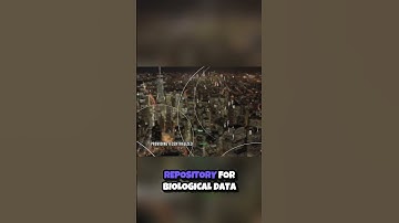 Unlocking Bioinformatics  The Power of Databases in Biological Research 🔬