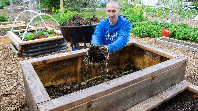 How to Build a Raised Bed CHEAP and EASY, Backyard Gardening 