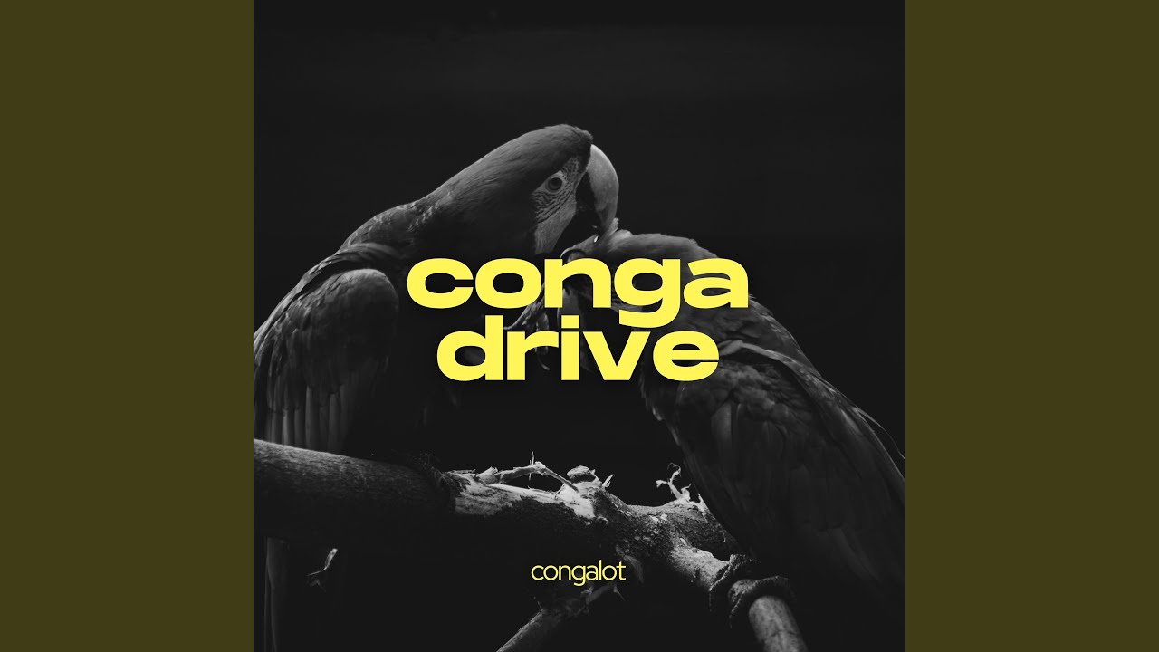 Watch conga drive on YouTube Watch conga drive on YouTube