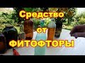 Супер средство от фитофторы и еще несколько приемов чтобы в теплце болезни не было как можно дольше