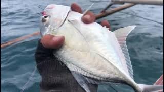 Mancing - mancing ikan - mancing ikan besar - mancing mania - mancing cantik - mancing di laut