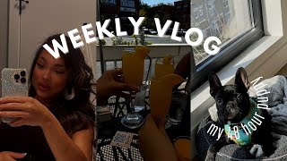 vlog: i sold my puppy after 48 hours, how i started social media, girls brunch, and more