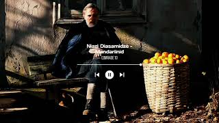 Niaz Diasamidze - Mandariinid - Tangerines Soundtrack ( 29 Minutes )