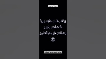 تلاوة عطرة من سورة ال عمران