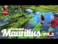 Mauritius  shrimp in paradise exclusive shrimp discovery 