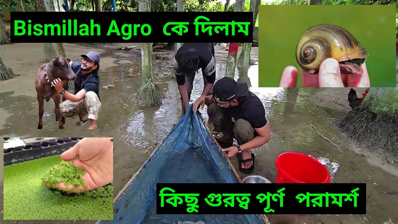 Bismillah Agro  কে দিলাম কিছু খুবই গুরুত্বপূর্ণ পরামর্শ 