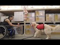 Training - Training -