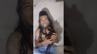 Kucing Candramawa Kalau Malam Warna Biru Kalau Pagi Warna Kuning Mas Hitam Mulus Tiga Bersaudara