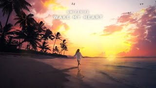 Swizznife - Wake My Heart Resimi