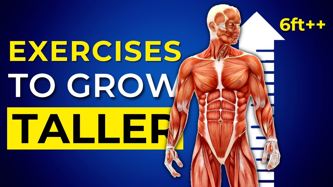 Top 10 Home Exercises To Become Taller In No Time Youtube