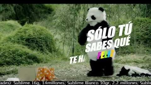 10 minutos de felicidad con SUBLIME