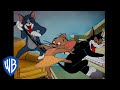 Tom & Jerry | Fun at Home | Classic Cartoon Compilation | @wbkids​