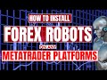 How To Set Up A Forex Trading Robot (EA) On MetaTrader Platforms