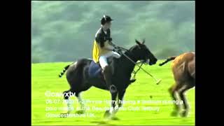 Harry throws a tantrum or 2 during a polo match at the Beaufort Polo Club Tetbury Glos UK