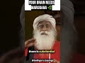 Shocking Truth About Marijuana Cannabis рџЊїрџЊїрџЊї By Sadhguru Sadhguru Shorts Sadhguruquotes Shocking Truth About Marijuana Cannabis рџЊїрџЊїрџЊї By Sadhguru Sadhguru Shorts Sadhguruquotes