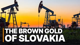 The Brown Gold Of Slovakia | David vs. Goliath | Greedy Cooperates