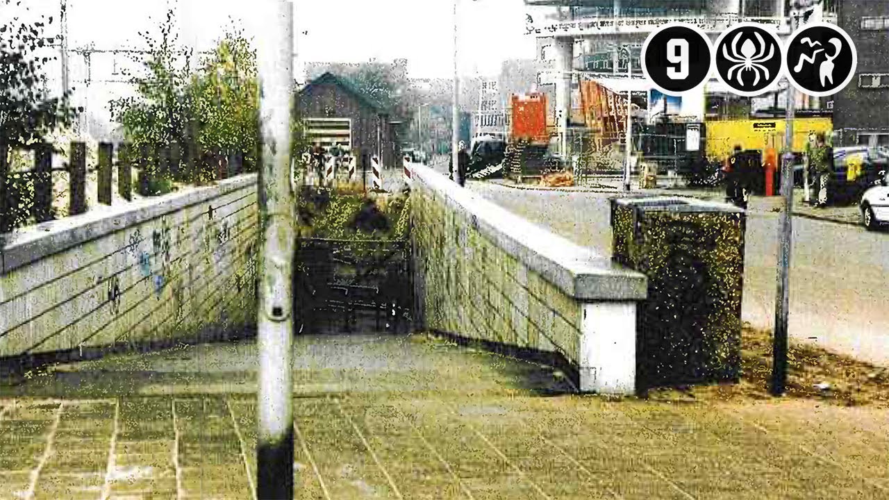 Cold case: man met kunsthand verkracht meisje van 17 | Amersfoort