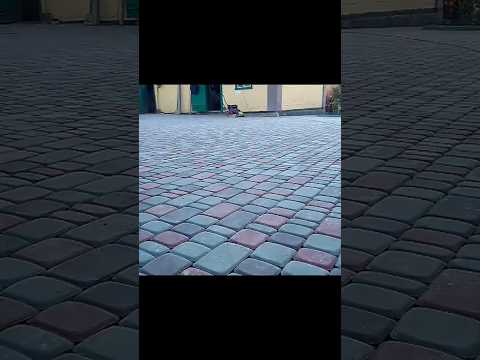 Укладка тротуарной плитки