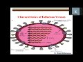 Influenza Virus
