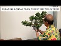 Creating Bonsai from A Tricky Hinoki Cypress