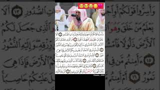 الشيخ ماهر المعيقلي