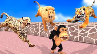 Tempe Run Funny Monkey Vs Tiger, Lion, Cheetha Escape from PC Maze Game | Monkey Steals a Bananas screenshot 5