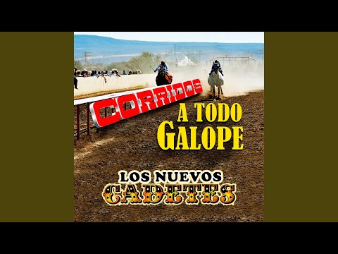 Guarda Los Caballos De Don Cruz su YouTube