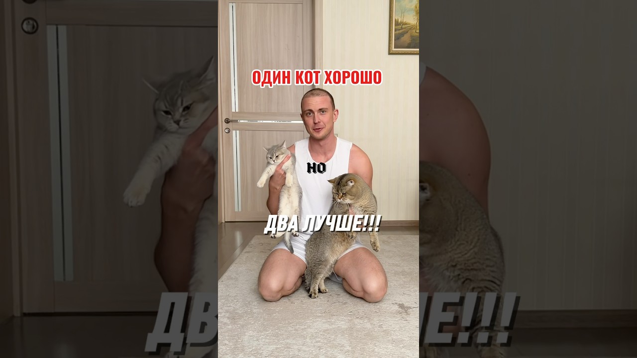 PETKIT 5 в 1 — чисто, без запаха и без пыли😻Артикул OZON: 248950169