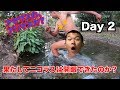 アヤワスカで第3の目(松果体)は開くのか? in サンフランシスコ村 Day2 (サービスショット満載)