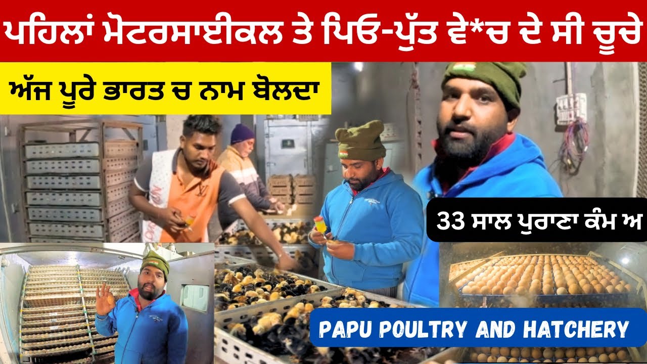 ਪਹਿਲਾਂ ਮੋਟਰਸਾਈਕਲ ਤੇ ਵੇਚ ਦੇ ਸੀ ਚੂਚੇ ਤੇ ਅੱਜ ਪੂਰੇ ਭਾਰਤ ਚ ਨਾਮ ਚੱਲਦਾ,,PAPU poultry and hatchery