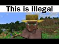 What You Can Do In Minecraft But Is Illegal IRL???