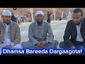 Dhamsa Bareeda Dargaaggootaf Fakkeenya Ta Uu Sheikh Amiin Ibroo