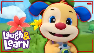 Taking Photos! 🎵 | Toddler Learning Songs | Kids Cartoon Show | Educational Tunes