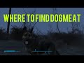 Fallout 4 where to find dogmeat