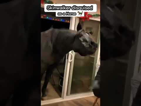 SkinWalker disguised as a horse 🐎😱 #shorts #shortfeed