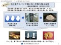 パン及び麺の製造に適した玄米粉