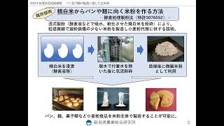 パン及び麺の製造に適した玄米粉