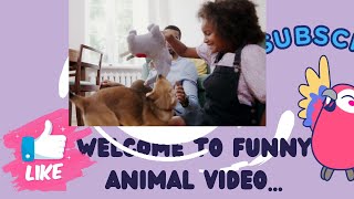 cute Animals video..