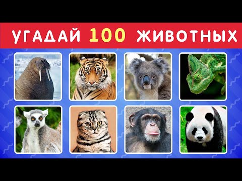 УГАДАЙ ЖИВОТНОЕ ЗА 3 СЕКУНДЫ  🐱🐺🐷🐮🦝 УГАДАЙ 100 ЖИВОТНЫХ