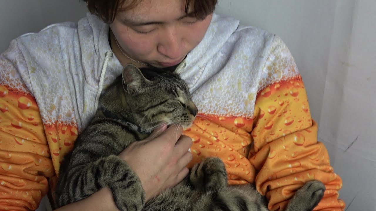 Tiger loves his master ♡ [Tiger episode 25] - YouTube