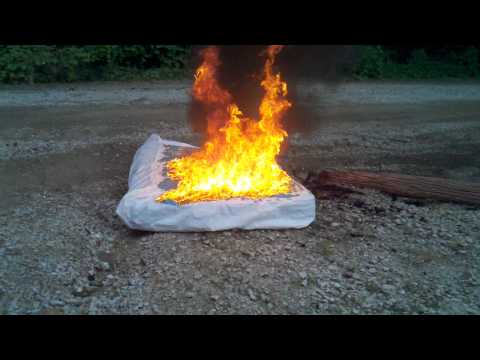 Bed Bug Infested Mattress Set On Fire