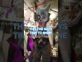 | the power of gay | #june#gay#pride#funny#foryou#supernova