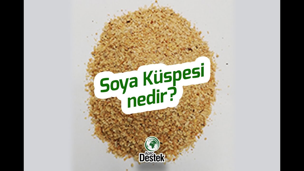 Soya Küspesi Nedir