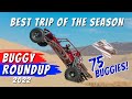 10th annual buggy roundup dumont dunes 2022